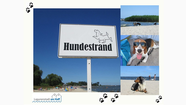 Umgang mit gef&auml;hrlichen Hunden